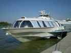 2010   Vieden